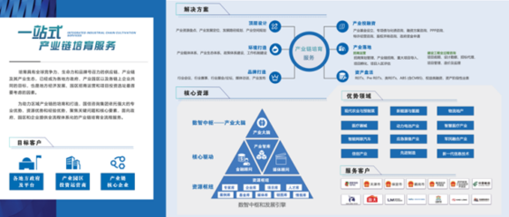 国信咨询集团王胜:一站式产业链培育服务,助力打造区域产业生态